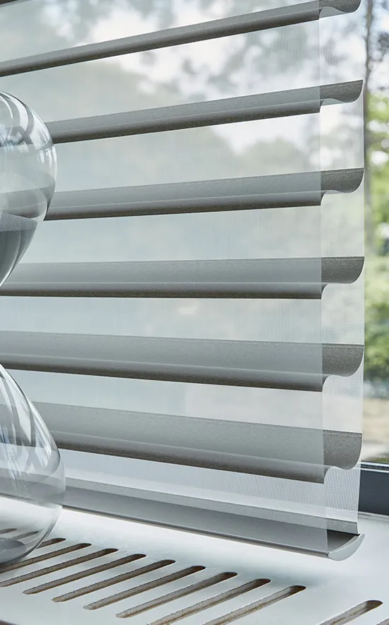 Proyecto Shangri-La 1